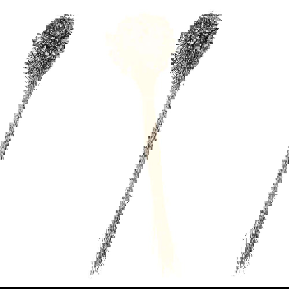 Security Seals; Overall Length (Decimal Inch): 12in ; Material: Monel Lead ; Features: Lead Seal; Security Indentification